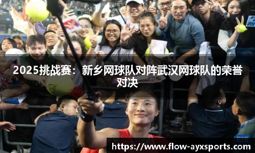 2025挑战赛：新乡网球队对阵武汉网球队的荣誉对决