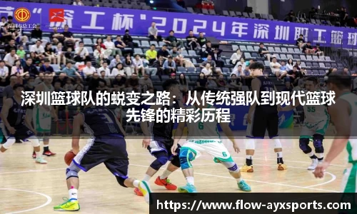 深圳篮球队的蜕变之路:从传统强队到现代篮球先锋的精彩历程